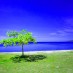 25 Ways to Make Your Business More Socially Responsible