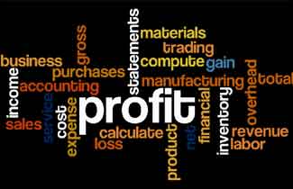 Profits and related words