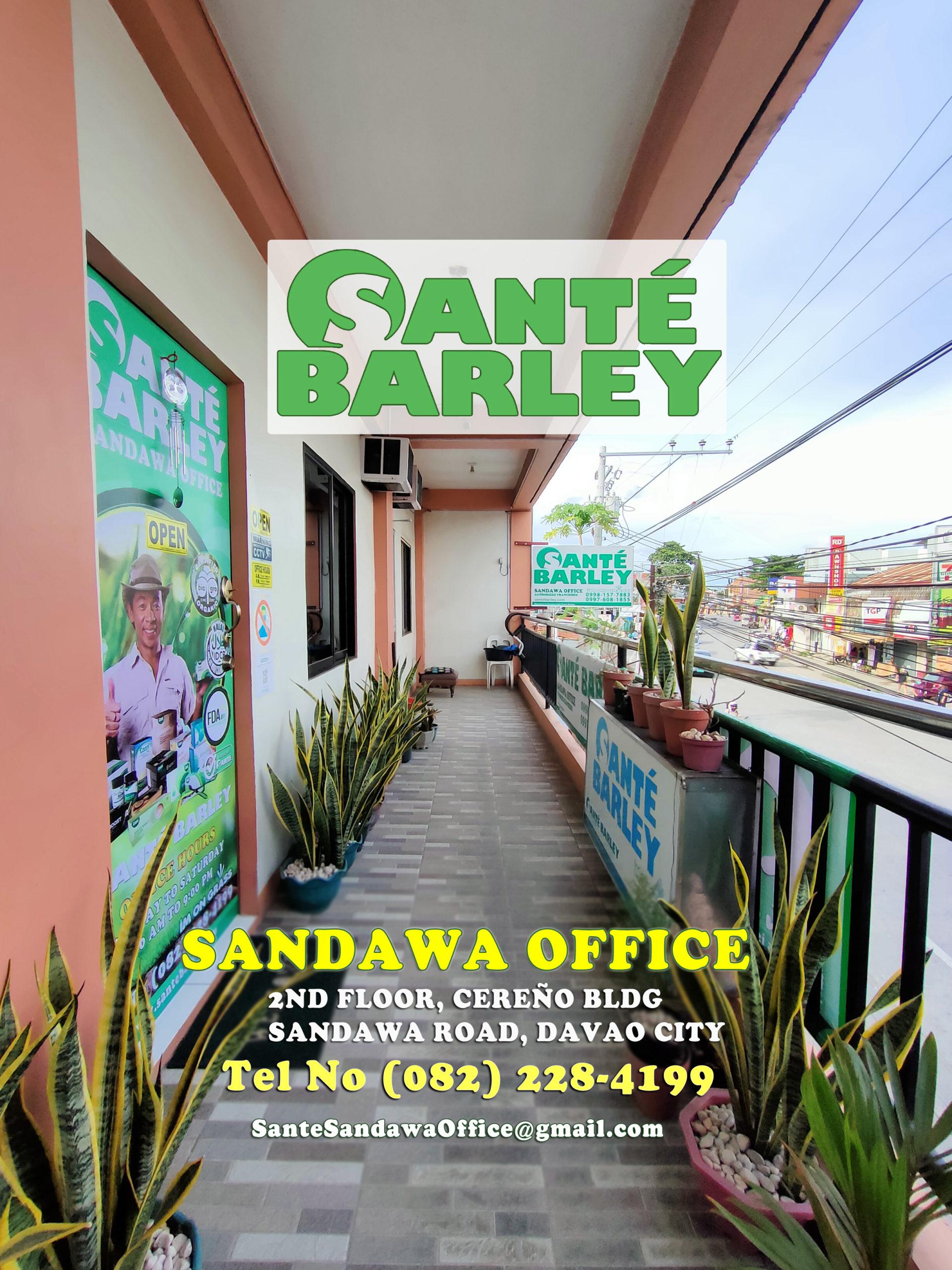 SANTE BARLEY SANDAWA (2) | Business Tips Philippines: Business Owners ...