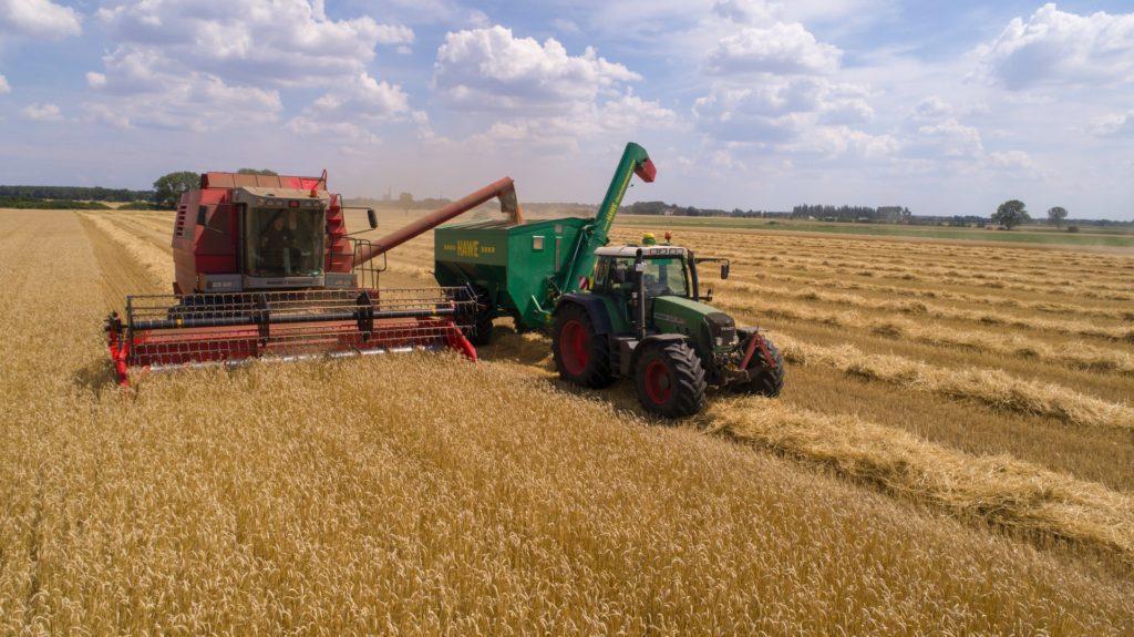 Rice farmer